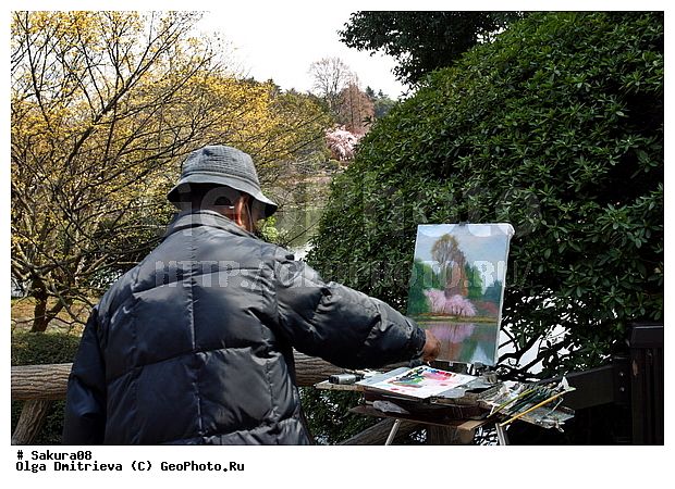 ������, �����, ������, �����