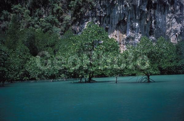 �������, �������, ����, ������, ����������� ����