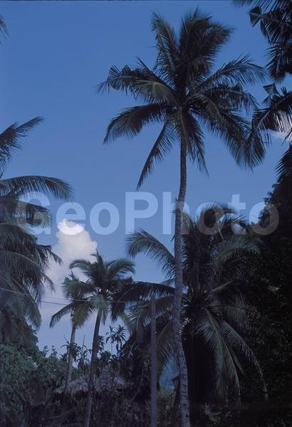 �������, �������, ����, ������, ����������� ����