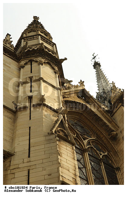 �����, ����, �������, ������, ������