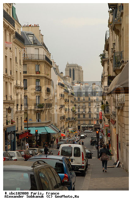 �����, �������, �����