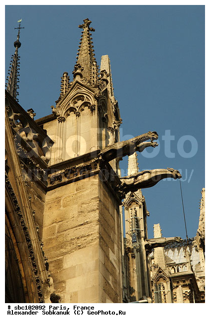 �����, �������