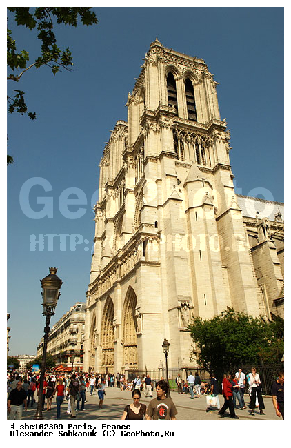 �����, ���������, �����, �������, ����������, ������������, ����, �������