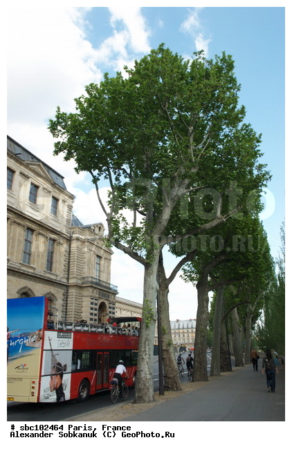 �����, �������