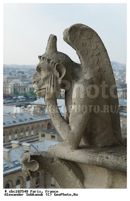 �����, �������