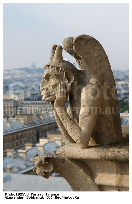 �����, �������