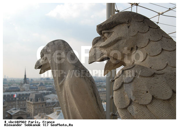 �����, �������