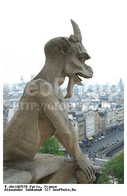 �����, �������