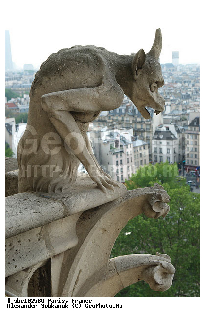 �����, �������