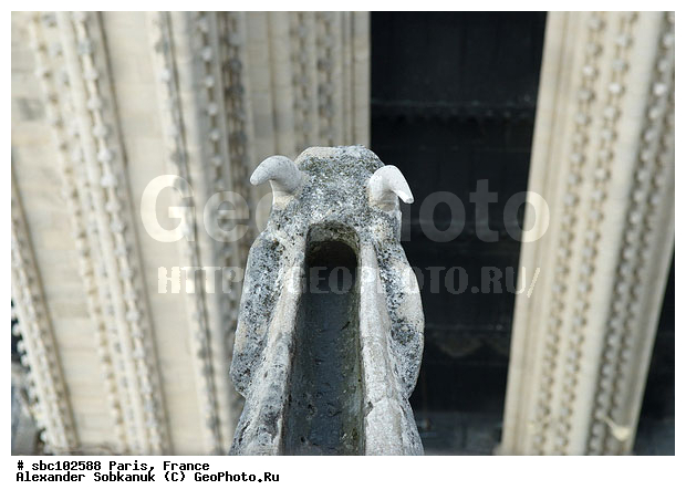 �����, �������