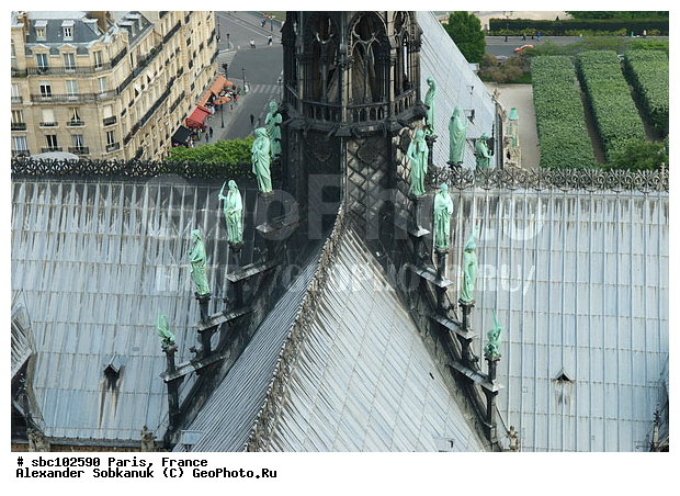 �����, �������