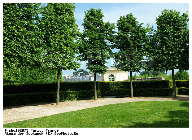 �����, �������