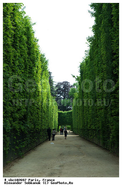 �����, �������