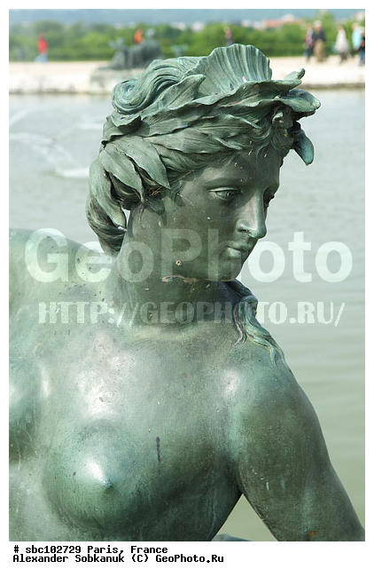 �����, �������