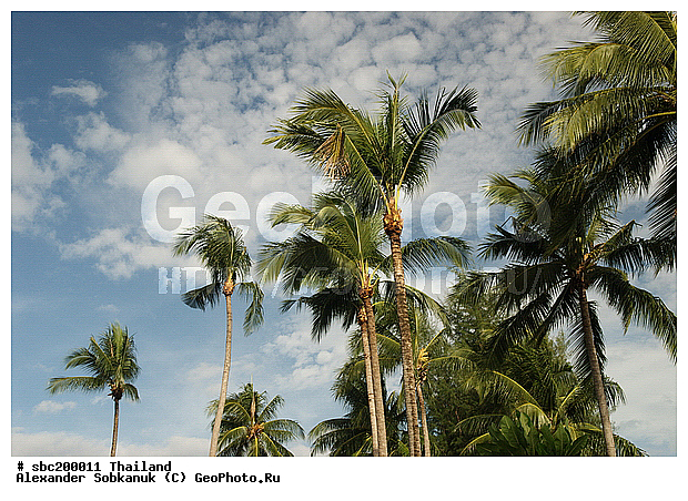 �������, ������, ��������, ����������� ��������