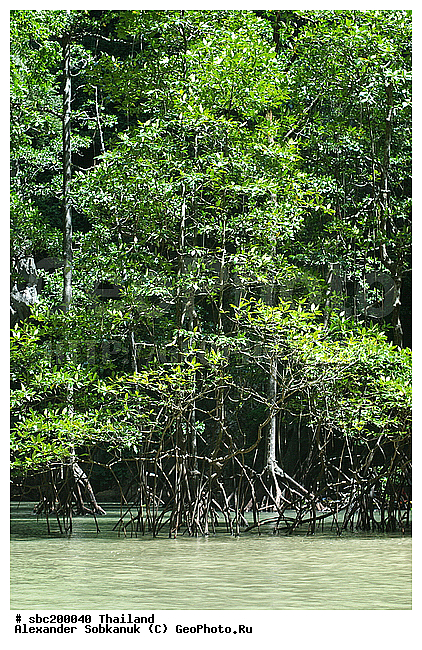 ��������� �������, �������, ����������� ��������