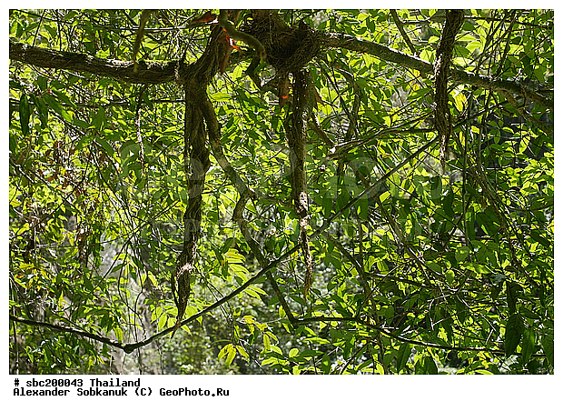 ��������� �������, �������, ����������� ��������