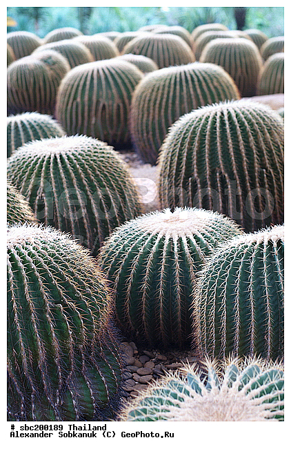 �������, �������, ������������ �������, ����������� ��������