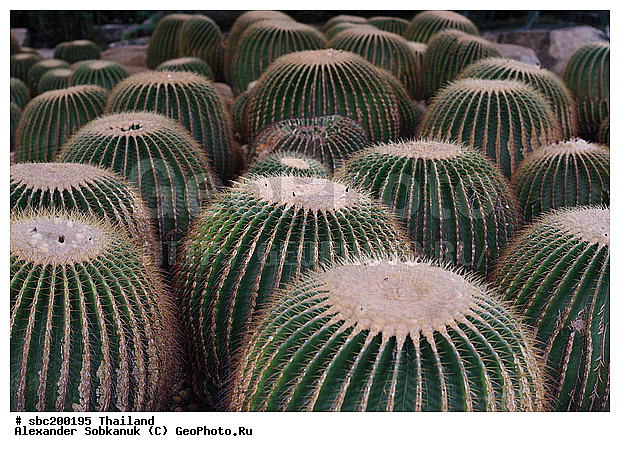 �������, �������, ������������ �������, ����������� ��������