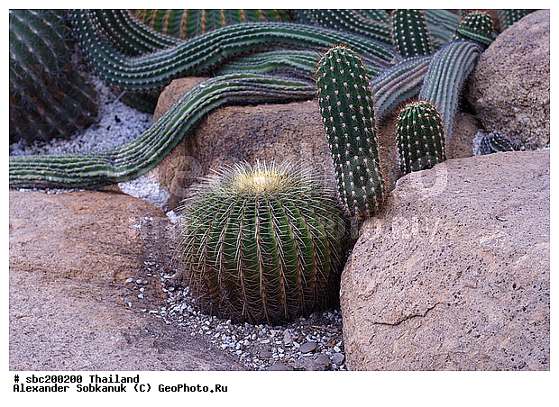 �������, �������, ������������ �������, ����������� ��������