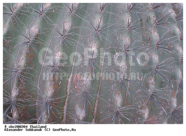 �������, �������, ������������ �������, ����������� ��������