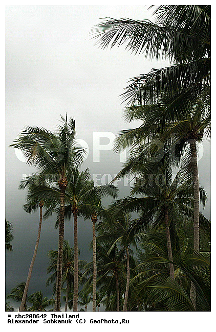 �������, ������, ��������, ����������� ��������