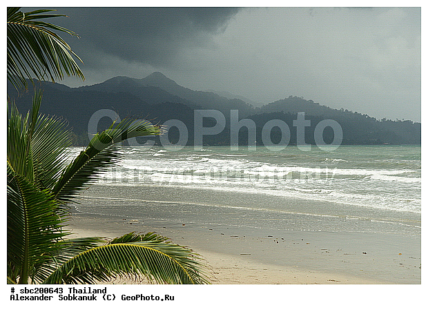 �������, ����