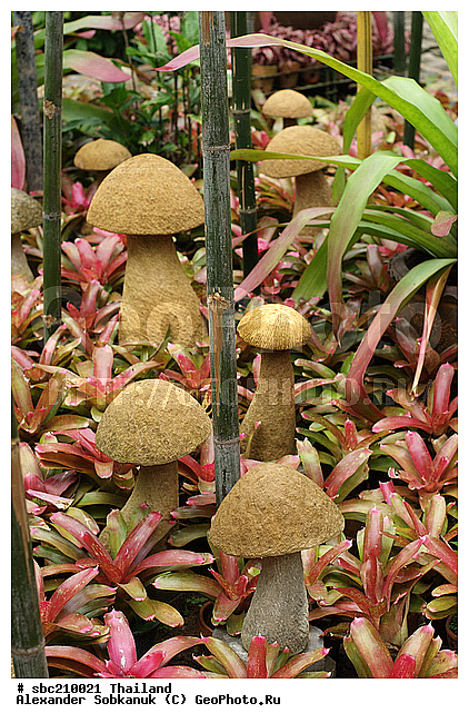 �������, �������� ����������