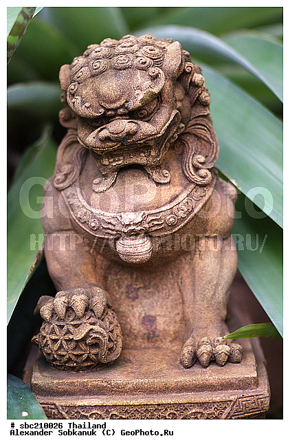 �������, �������� ����������