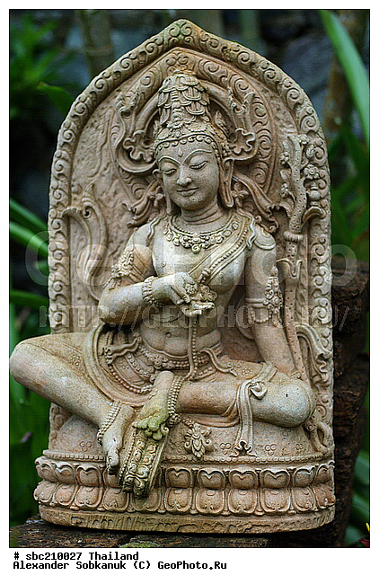 �������, �������� ����������