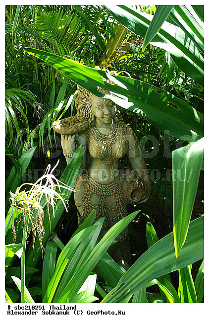 �������, �������� ����������