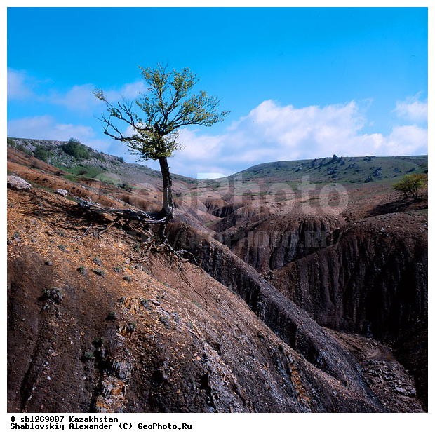 ���������, �������� ���������� �������, ���������