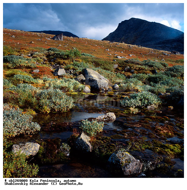 �������� ����������, ������� ����, �����