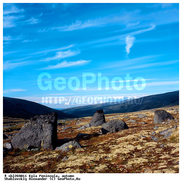 �������� ����������, ������� ����, �����