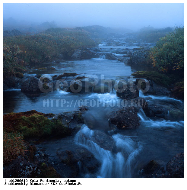 �������� ����������, ������� ����, �����