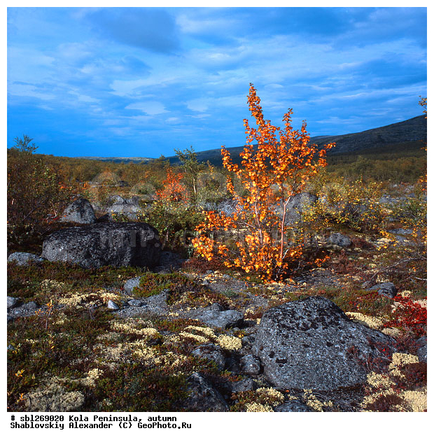 �������� ����������, ������� ����, �����