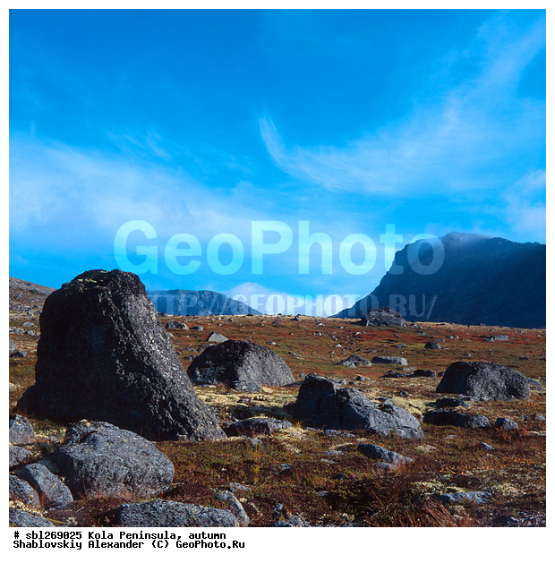 �������� ����������, ������� ����, �����