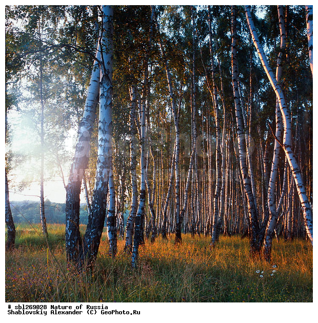 �������, ������, ������, ������, �����, ���������, ���������, ������, ���, ������� ������, ������