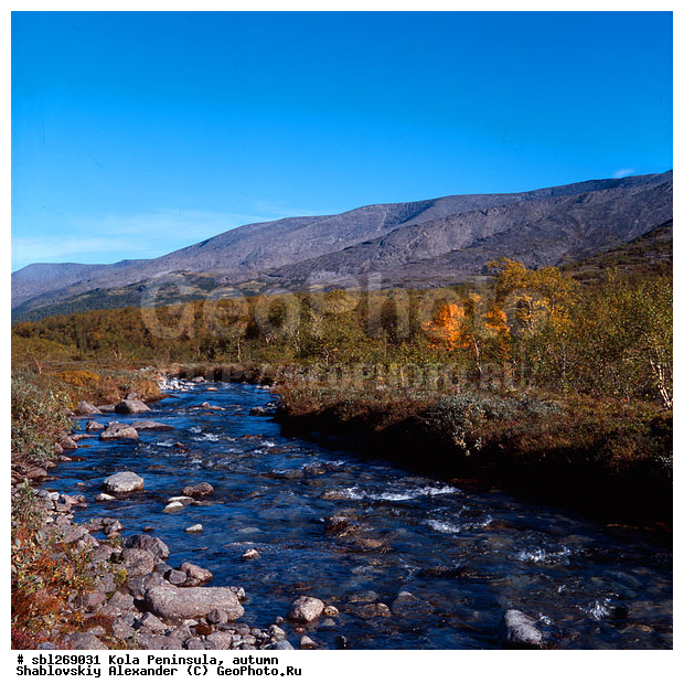 �������� ����������, ������� ����, �����