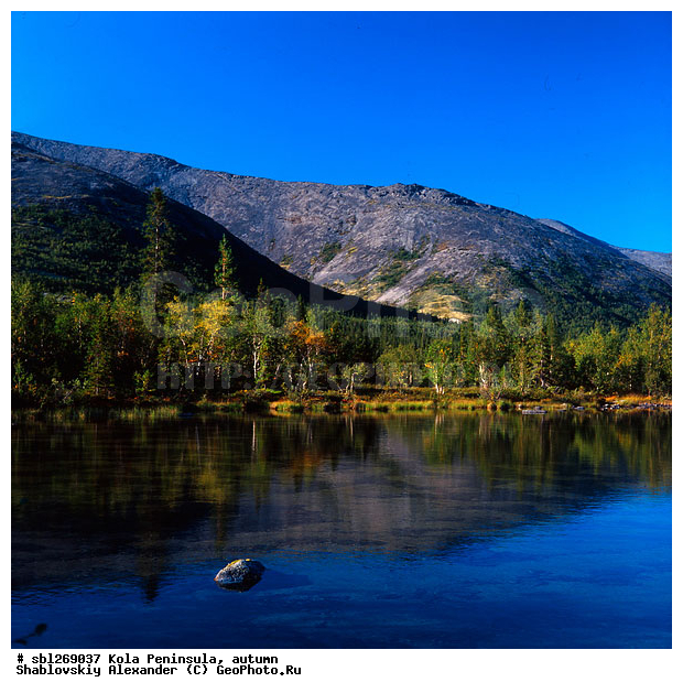 �������� ����������, ������� ����, �����