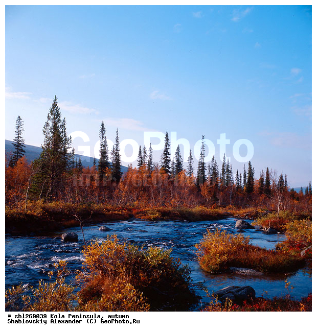 �������� ����������, ������� ����, �����