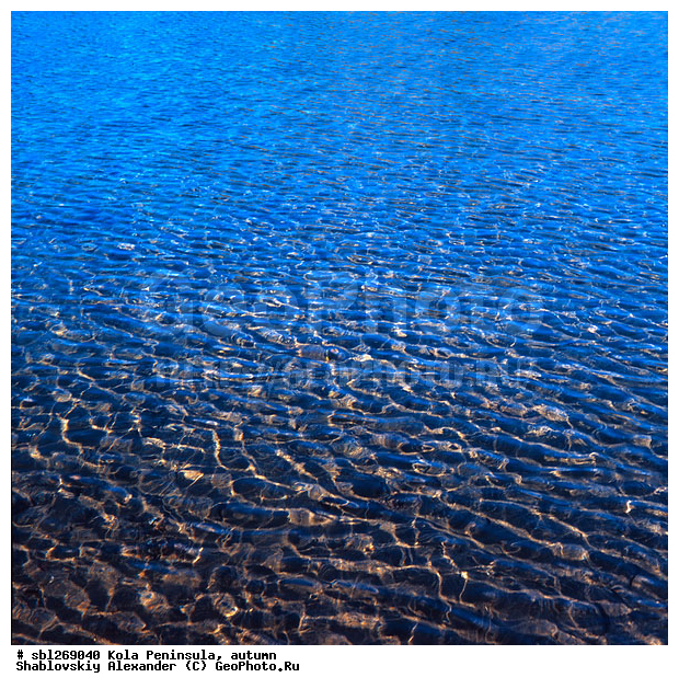 �������� ����������, ������� ����, �����