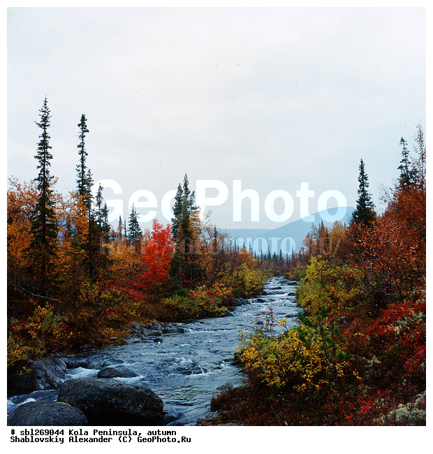 �������� ����������, ������� ����, �����