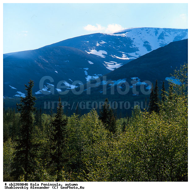 �������� ����������, ������� ����, �����