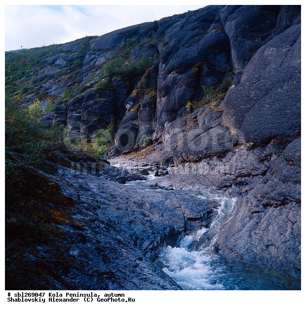 �������� ����������, ������� ����, �����