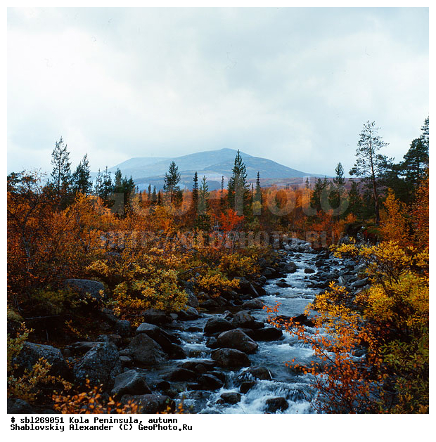 �������� ����������, ������� ����, �����