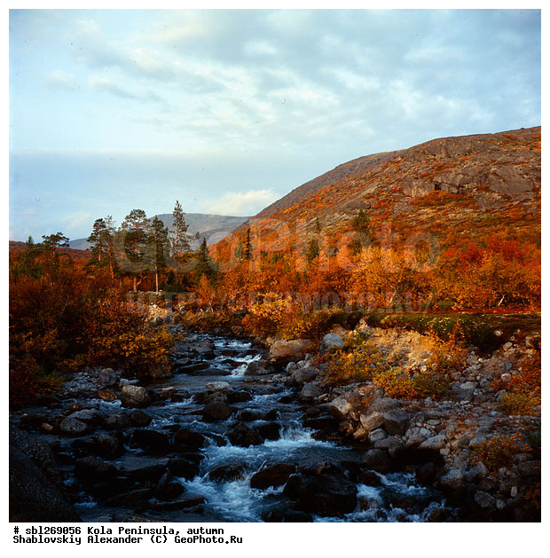 �������� ����������, ������� ����, �����