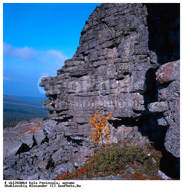 �������� ����������, ������� ����, �����