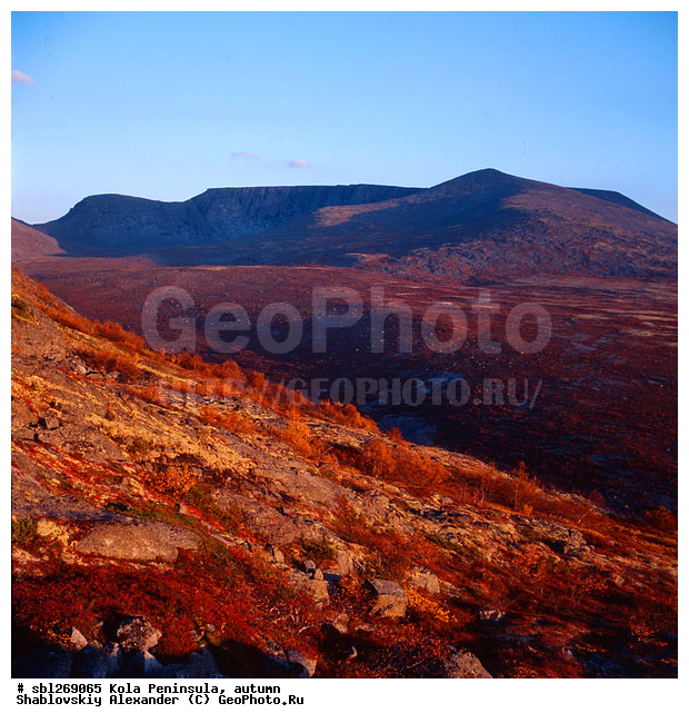 �������� ����������, ������� ����, �����