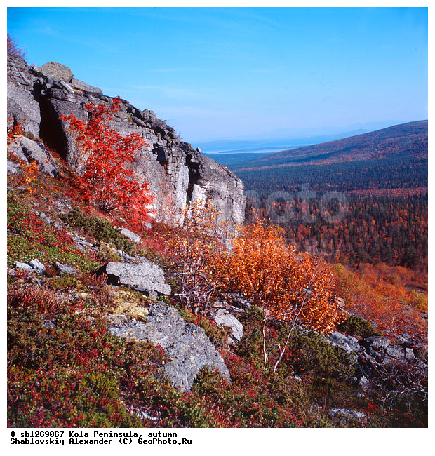 �������� ����������, ������� ����, �����